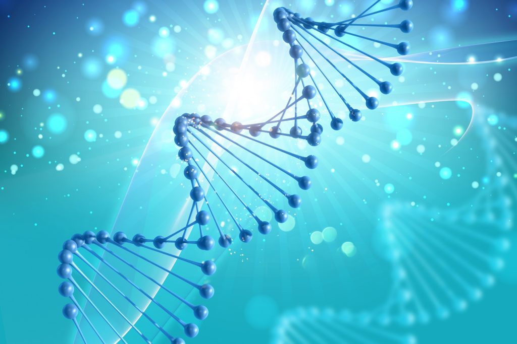 microRNA e Charcot-Marie-Tooth