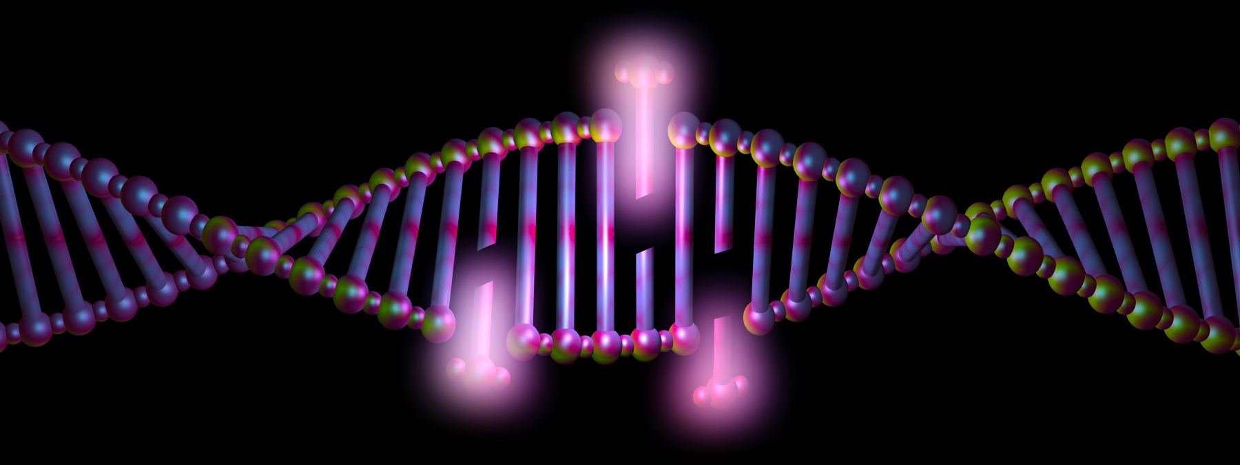 DNA trattato con CRISPR/Cas9 per riparare una mutazione da duplicazione