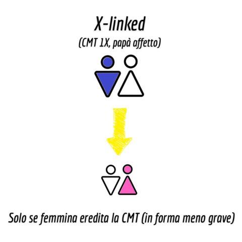 Ereditarietà X-linked nella CMT - Papà malato