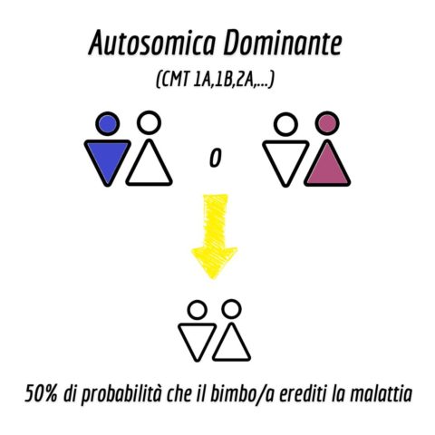 Ereditarietà autosomica dominante nella CMT