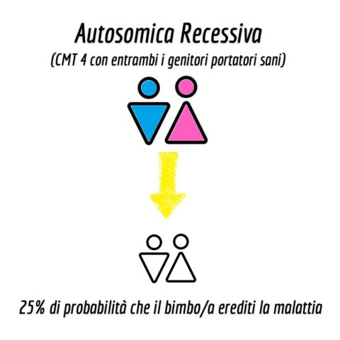 Ereditarietà autosomica recessiva nella CMT - Genitori Portatori sani