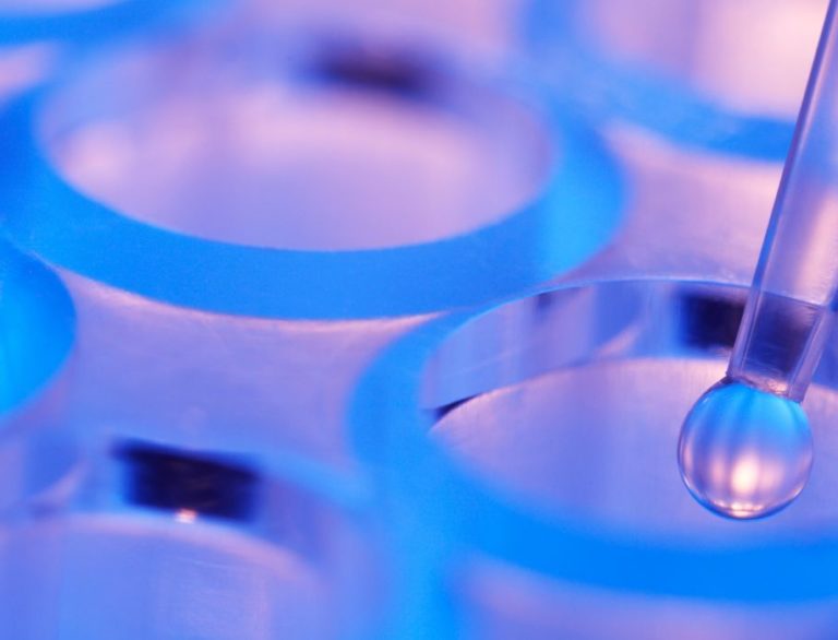 Ricerca e Trattamenti