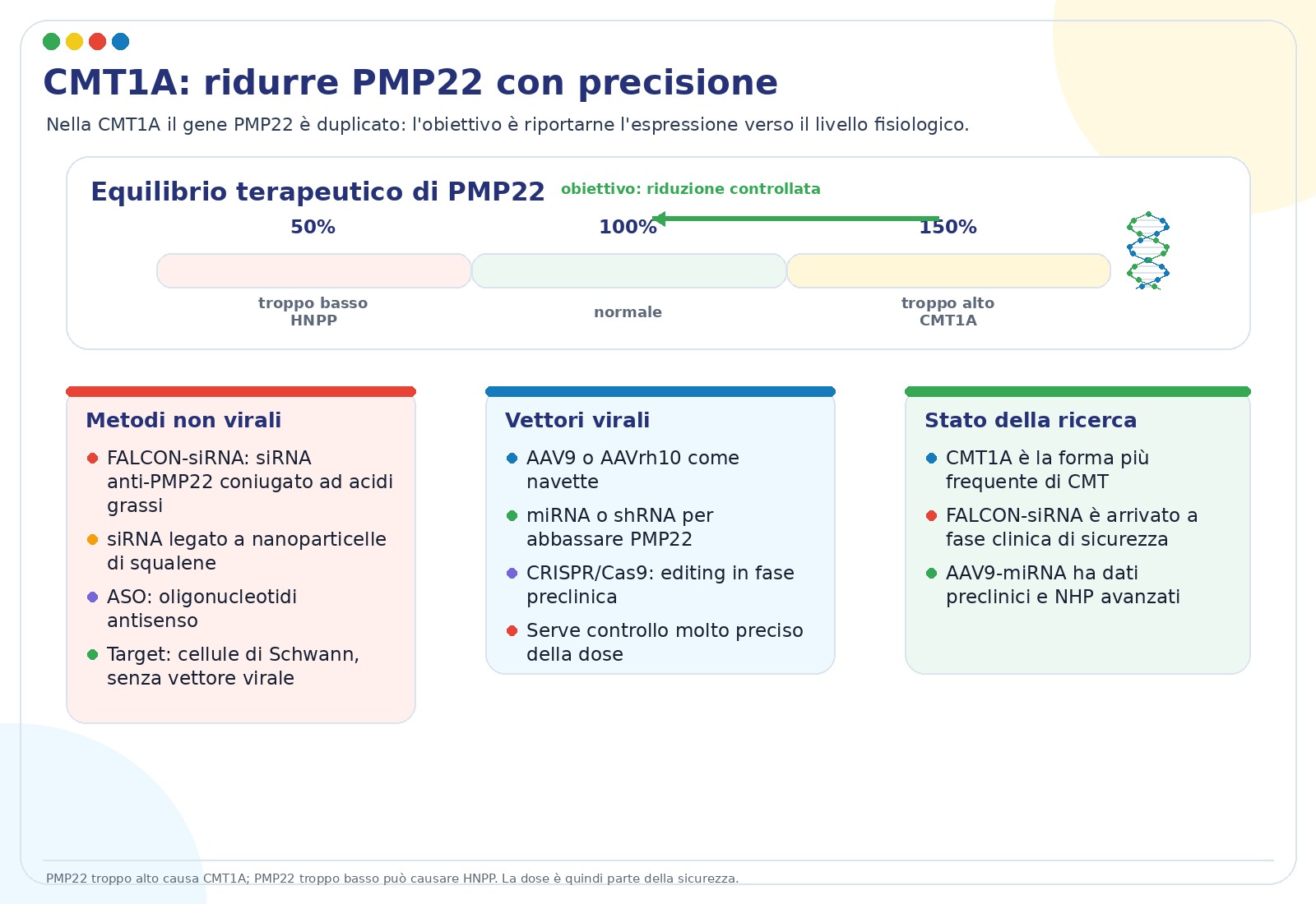 Strumenti di terapia genica per ridurre PMP22 nella CMT1A