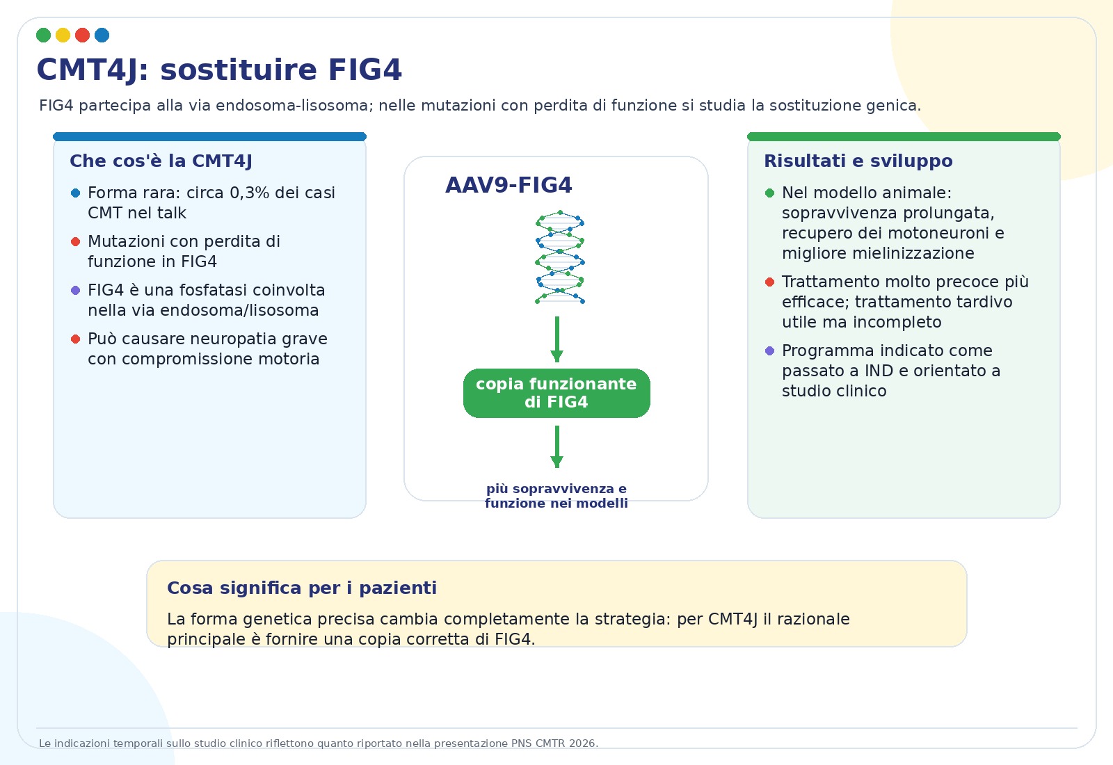Sostituzione genica FIG4 nella CMT4J